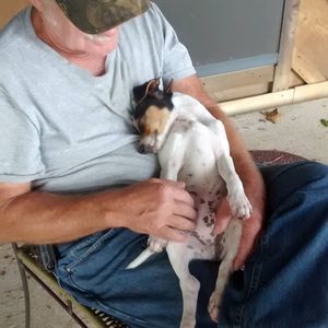 Meet your Posher, Judy